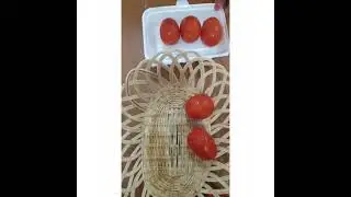 Dokumentasi Pratikum precooling buah Tomat| vonic Anjunia