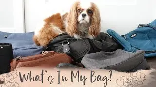 What's in a Professional Organizer's Purse?