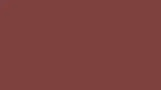 [10 Hours] [4K] dull red screen , #804040 , RGB(128 64 64)