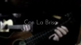 Foudeqush and Ludwig G&ouml;ransson - Con La Brisa | Guitar and Ukulele Cover