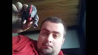Showing some transformers toys and some Yu-Gi-Oh cards 