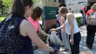 USF Pet Therapy