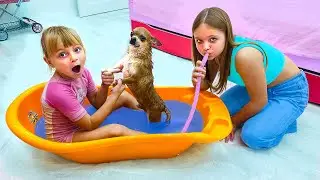 Лера Гуляет под дождем! Маргарита учится Ухаживать за Алмазо! Лера и Маргарита