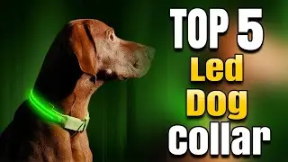 Best Led Dog Collar Rechargeable Waterproof