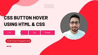 Awesome Transition Button Hover Effect Using CSS || 10 Minutes Programming