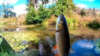 Рыбалка на реке Ропотамо в Primorsko, fishing on Ropotamo river