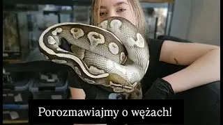 Moje doświadczenia z ugryzieniami węży.