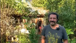 Le Jardin Forêt Les Feuilles du Figuier... 4 ans plus tard
