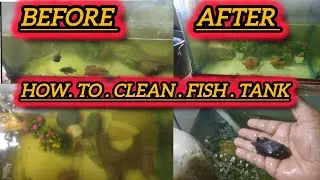 Deep Cleaning fish tank After 20days 🐟 || Mr Crazy Rawat|| #Fishtankcleaning