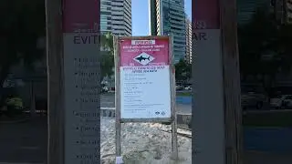 Beware of sharks in this beach in Brazil 🇧🇷