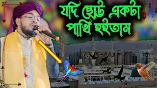 যদি ছোট্ট একটা পাখি হইতাম | Md Saifuddin Ansari Gojol | Jodi Chotto Akta Pakhi Hoitam | New gojol