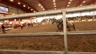 Can this Cowboy roper get the cattle or fail the Rodeo all together you decide
