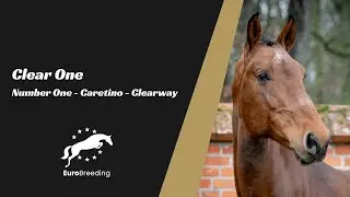 Wechta Equestrian 2025: Clear One (Number One - Caretino)