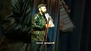 Мелодика. #shorts #melodika #love #like #master #youtubeshorts
