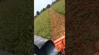 Village Tractor in Action #village #tractor #farming #viral #trending