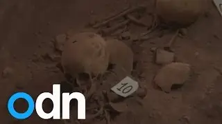 Skeletons found in hidden crypt in Peru