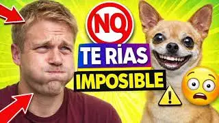 VIDEOS DE RISA Y BROMAS PARA REÍR HASTA LLORAR 🤣😭