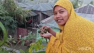 সকাল বেলার একটা সুন্দর মুহূর####YouTube challenge your video ####