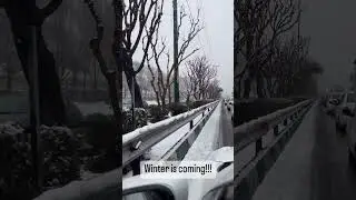 Winter Is Coming #tehran #winter