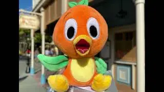The History of the Orange Bird