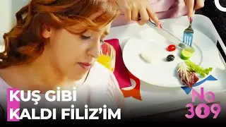 Midesi K&uuml;&ccedil;&uuml;ld&uuml; Aslan Yarimin - No:309