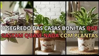 SUA CASA LINDA GASTANDO POUCO.