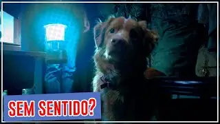GOOD BOY &ndash; A horror film that will leave you uncomfortable!