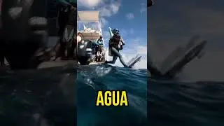 Traje de Neopreno #gopro #tipsdebuceo #buzos #buzos #buceo #scubadiver #scubatips #cancun