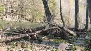 Bland County Survivorman gets Lost