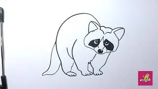 How to Draw Raccoon | Easy Drawings