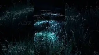 laser mapping on grass #creative #laser #party #laserlights #laserprojector #event