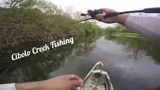 Cibolo Creek Quick Trip!