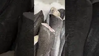 Гигантская угольная рыба каждая более 4 кг