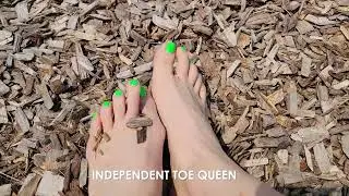 Wood chips | Independent Toe Queen