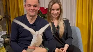 | Pace vouă | va dorim un 2025 plin de binecuvântări | Ne apucam de cuib | Dani & Vero Popescu |