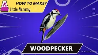 Little Alchemy Cheats-How To make Woodpecker |Walkthrough |Hints |Guide |Combo