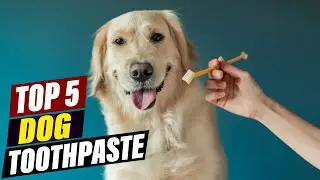 Dog Toothpaste for Small Breeds: Tailored for Tiny Teeth