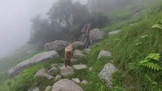 Mysterious and Foggy Hike in the Himalayan Foothills