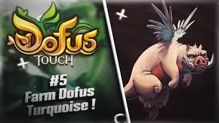 DOFUS TOUCH : Big Dofus TURQUOISE ?