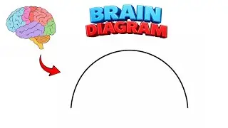 Brain diagram | brain diagram easy | how to draw brain | brain drawing | how to draw brain diagram