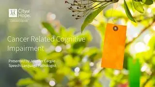 How to Use Your Brain Trainer Activity Book