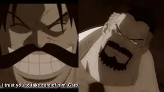 NEW One Piece Series