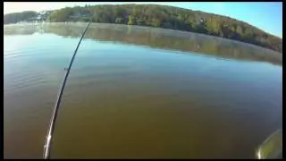Hatcam Striper