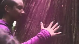 Revel: A Native American Apparel Fashion Film