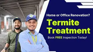 Why is Termite Treatment Important During Renovation of Any Office, Home or Property?
