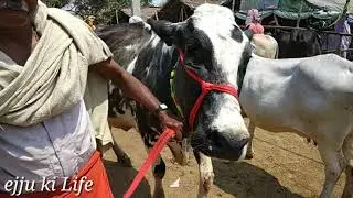 Bihar Top Mandi chausa Buxar bihar part2
