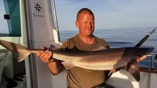 HUGE SPURDOG'S Caught - boat fishing West Wales