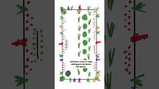 My Favorite Cool Season Planting Plan #gardenary #gardening #plantingplan