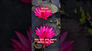 कांवरझील बेगूसराय//kanwar jheel Bihar//#shorts#youtube #kanwarjheel #begusarai #tourism