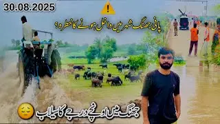 Chenab River Flood Risk 2025 |jhang flood situation  update 😓#flood#river 